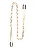 Tweezers With Chain